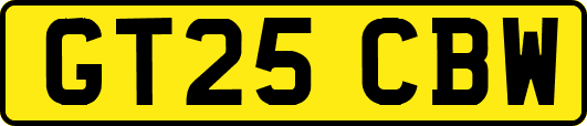 GT25CBW