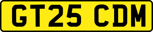 GT25CDM