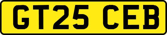 GT25CEB