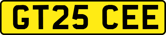 GT25CEE