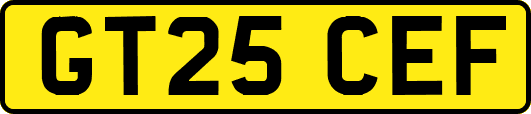 GT25CEF
