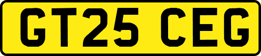 GT25CEG