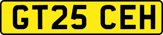 GT25CEH