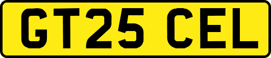 GT25CEL