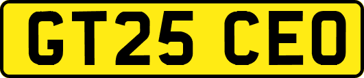 GT25CEO