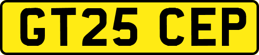 GT25CEP