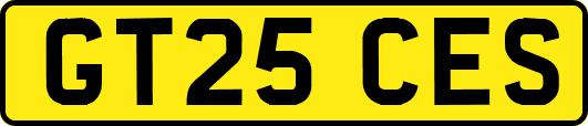 GT25CES