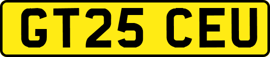 GT25CEU