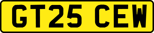 GT25CEW