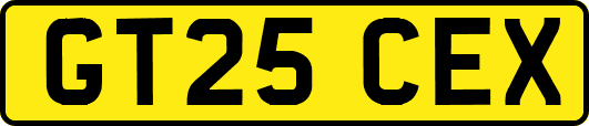 GT25CEX