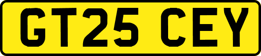 GT25CEY