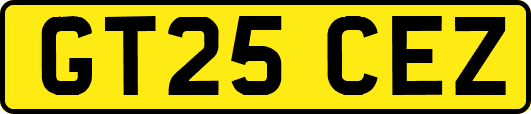 GT25CEZ