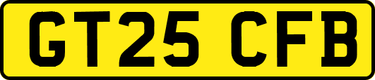 GT25CFB