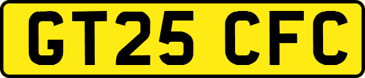 GT25CFC