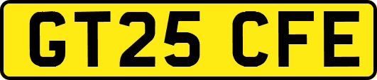 GT25CFE