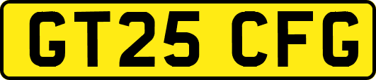GT25CFG