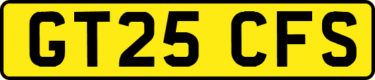 GT25CFS