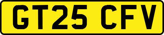 GT25CFV