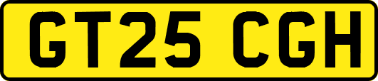 GT25CGH