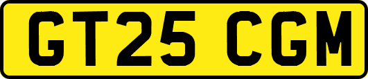 GT25CGM