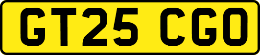 GT25CGO