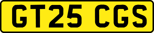 GT25CGS