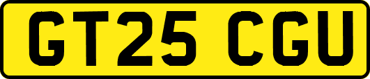 GT25CGU