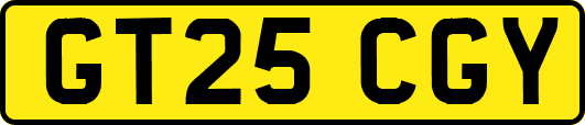 GT25CGY