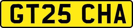 GT25CHA