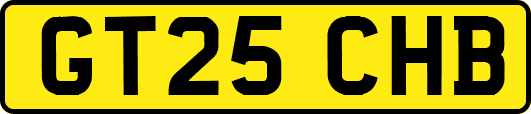 GT25CHB