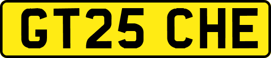GT25CHE