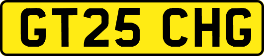 GT25CHG