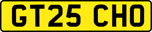 GT25CHO