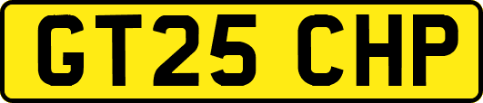 GT25CHP