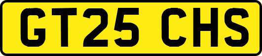 GT25CHS