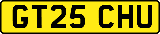 GT25CHU