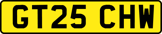 GT25CHW