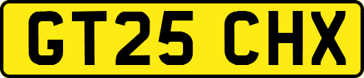 GT25CHX