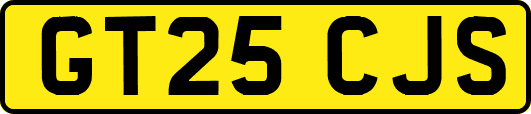 GT25CJS