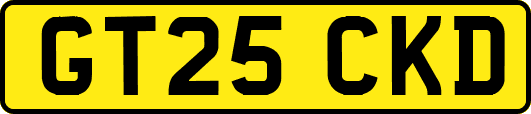 GT25CKD