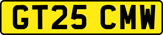 GT25CMW