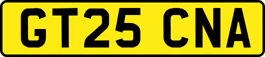 GT25CNA