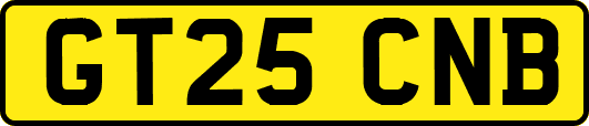 GT25CNB