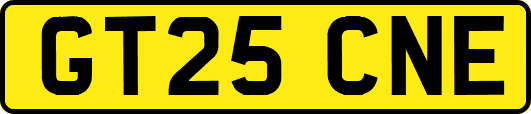 GT25CNE