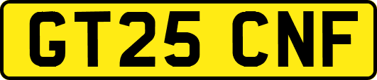 GT25CNF