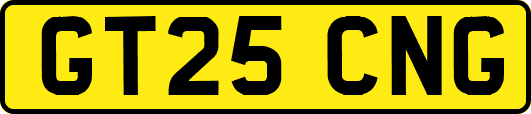 GT25CNG