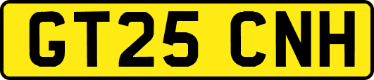 GT25CNH