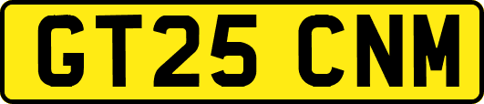GT25CNM