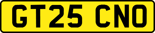 GT25CNO