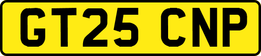 GT25CNP